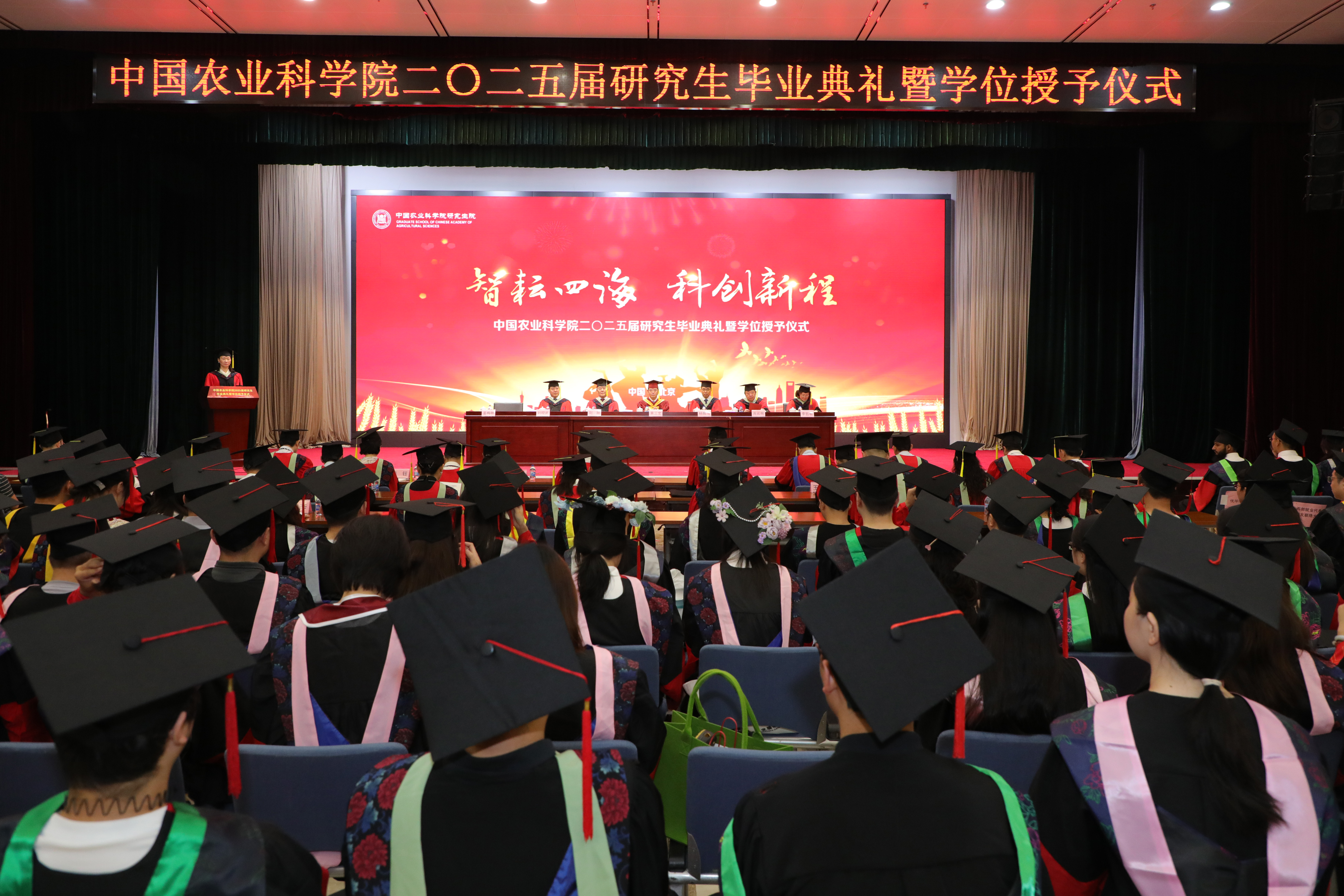 1-典礼现场.JPG