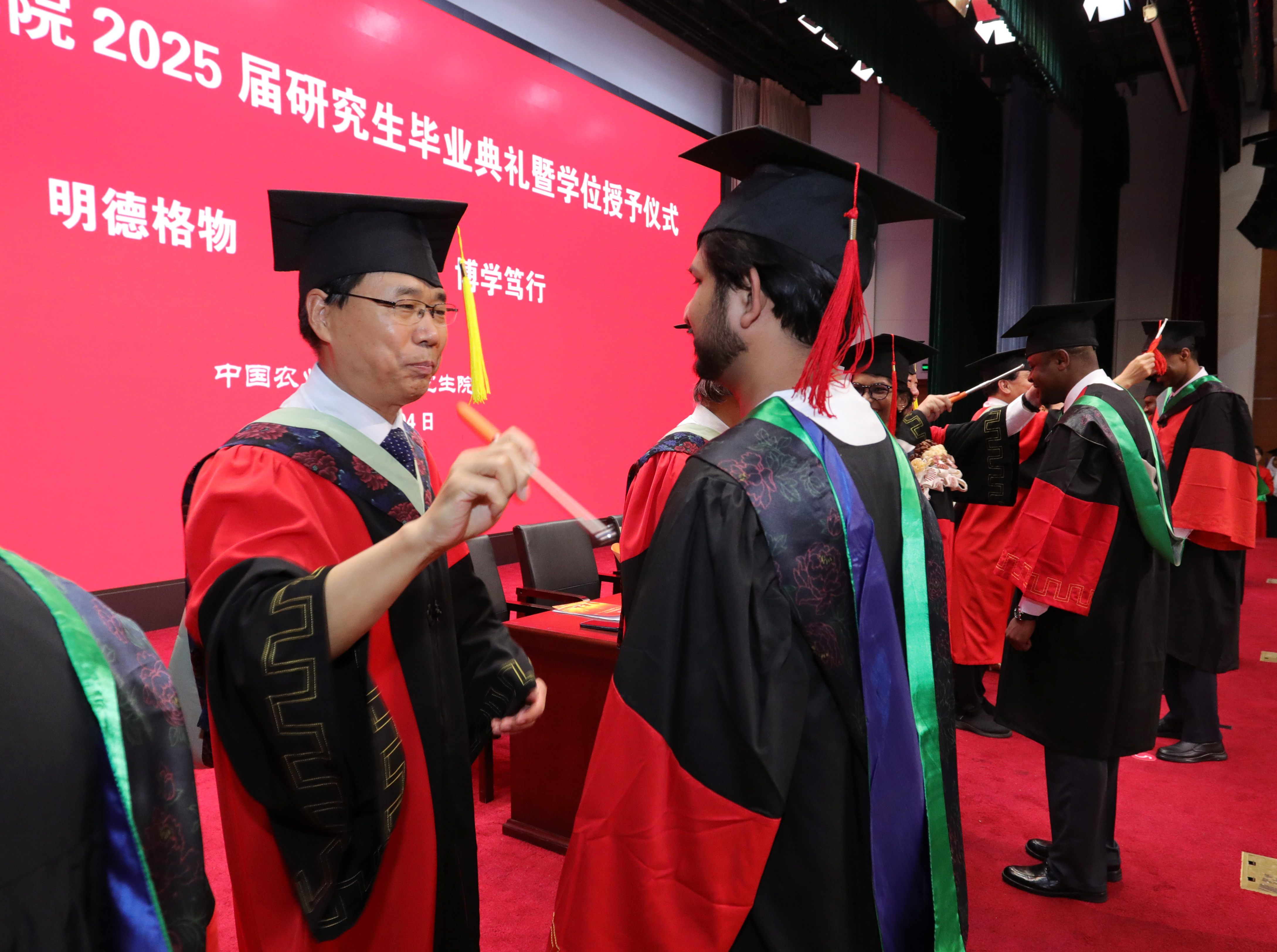 12-拨穗-杨.JPG
