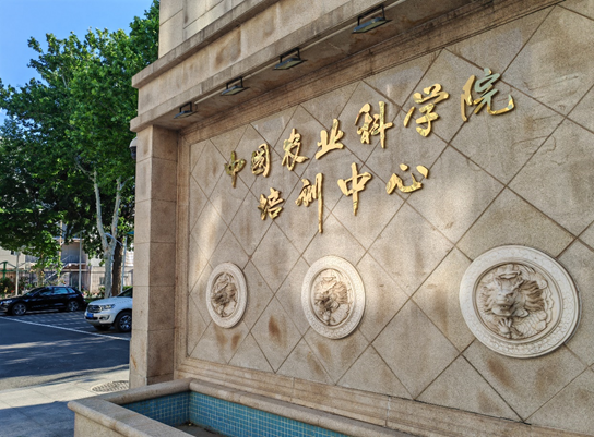 门图2.jpg